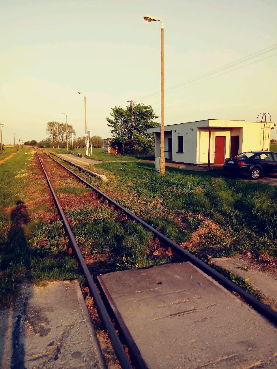 fot. Kasia 
Przystanek osobowy Grzybno na linii kolejowej nr 209 Brodnica – Bydgoszcz Wschód. Obraz