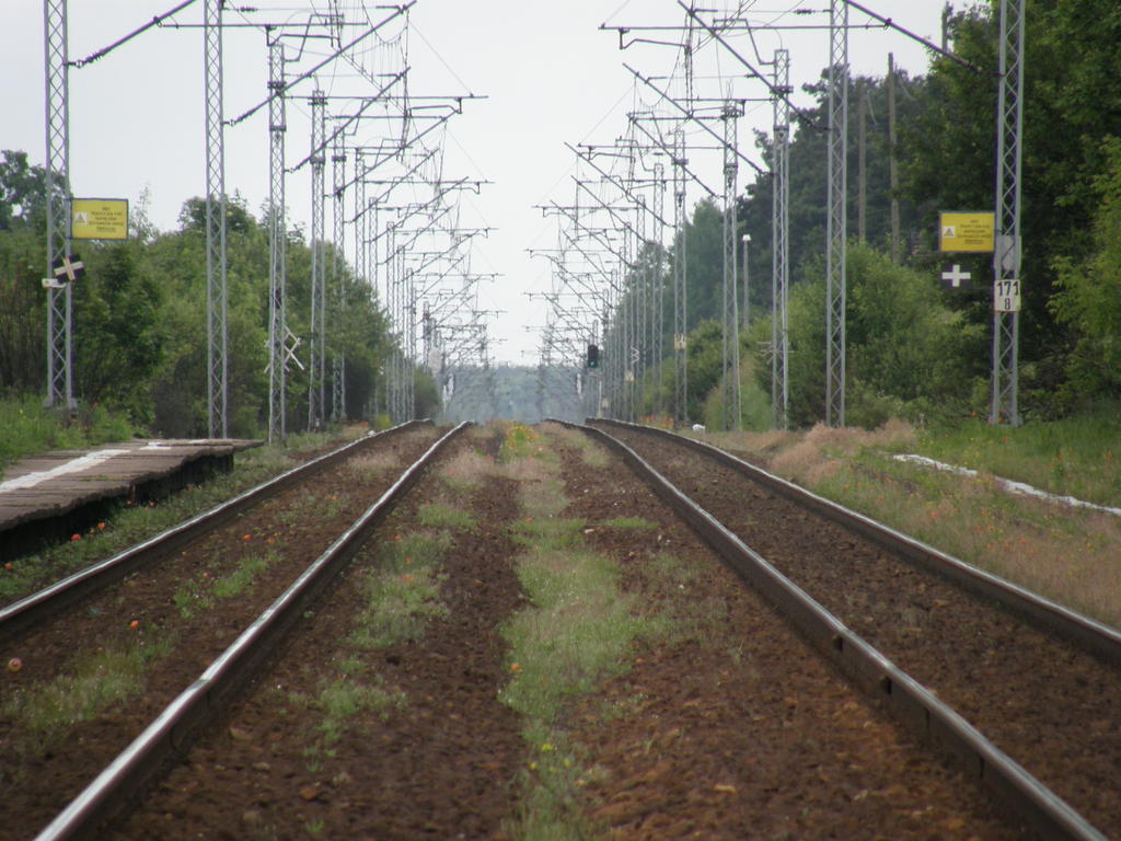 fot. Przemysław Więcek 
Perony boczne. W oddali semafory SBL w km 172,4. Widok w stronę Radomska. 171,7 km. Obraz