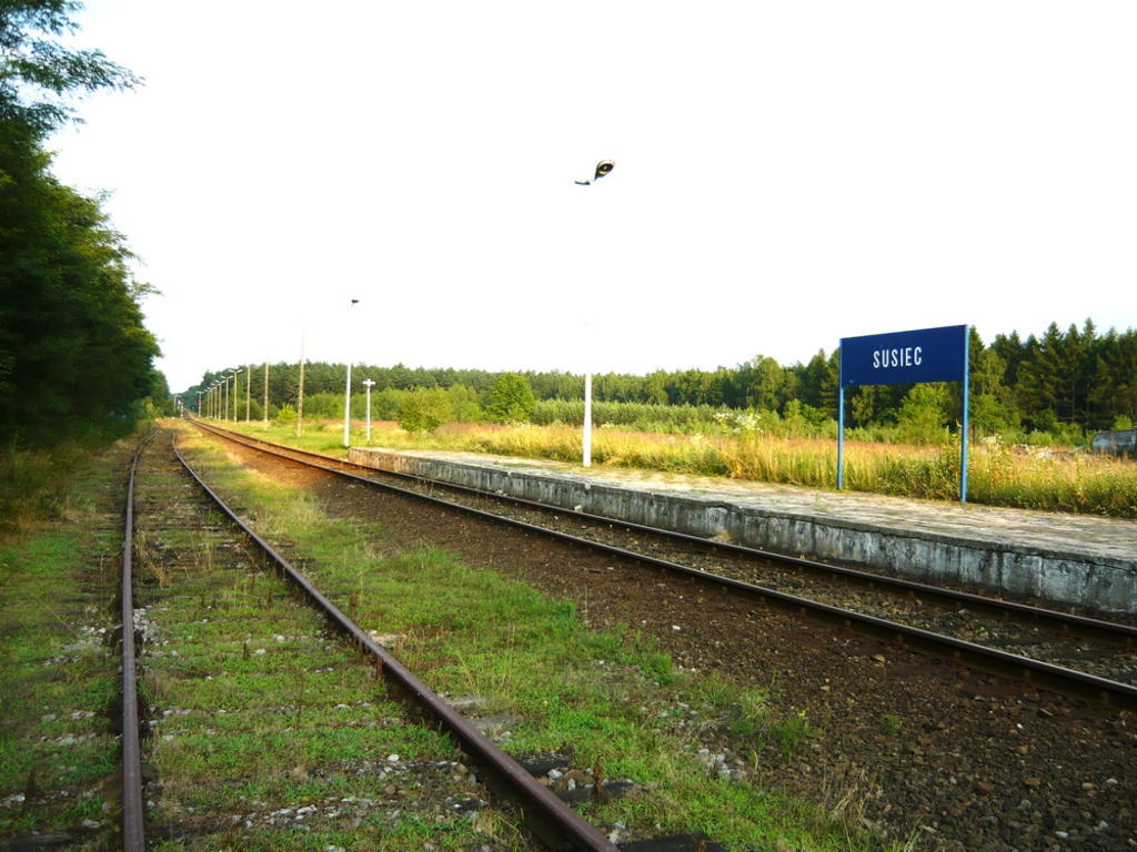 fot. Tomek 
Susiec, widok w kierunku Bełżca. Obraz