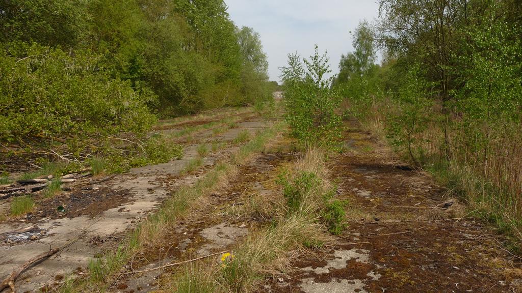 fot. Bartek S. 
Hydrierwerke, plac załadunkowy, po prawej stronie przebiegały tory. Obraz