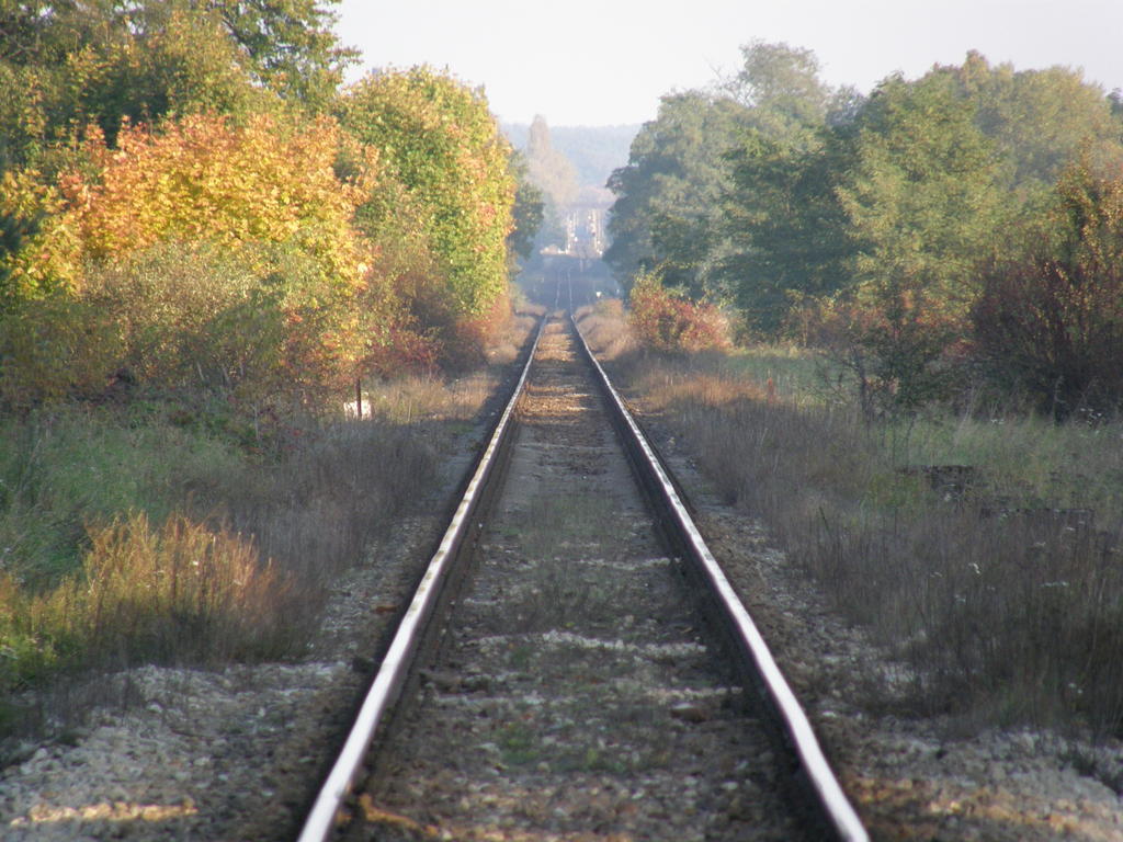 fot. Przemysław Więcek 
Widok w kierunku Czerwieńska. 48,4 km. Obraz