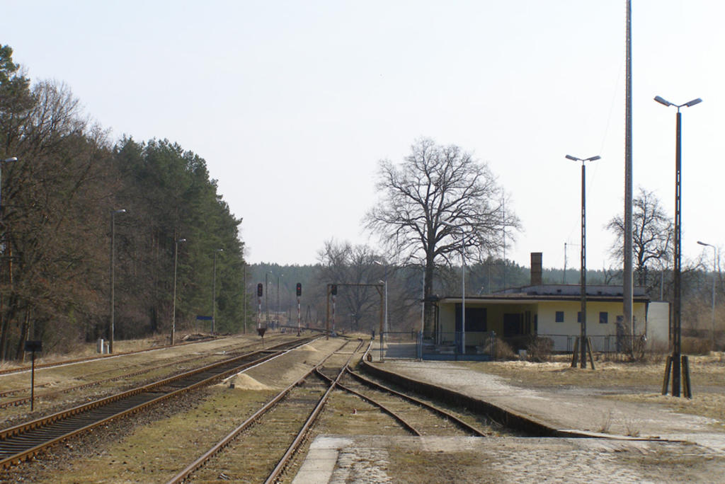 fot. Łukasz Wójcik 
Prostynia, marzec 2011, widok na stację w kierunku Cybowa. Po prawej budynek stacyjny. Obraz