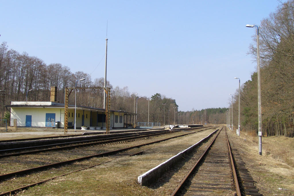 fot. Łukasz Wójcik 
Prostynia, marzec 2011, widok w kierunku Żółwina. Obraz