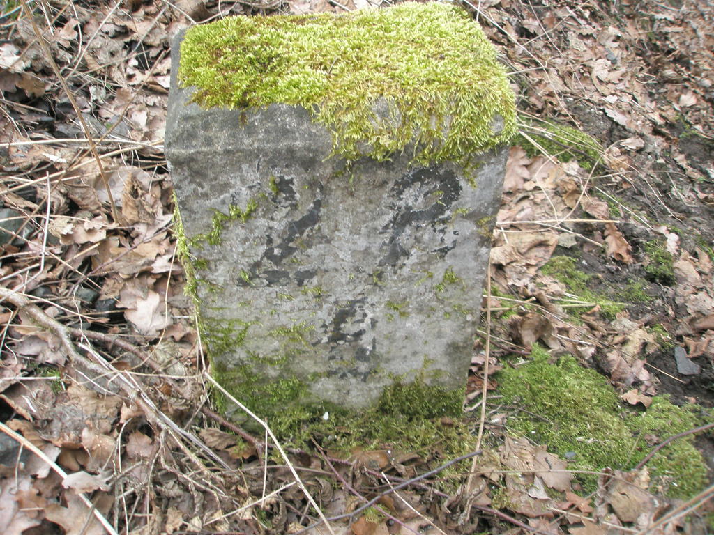 fot. Artur27 
Słupek kilometrażowy 27,6km. Obraz
