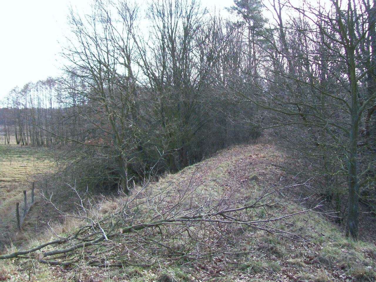 fot. wasiukibic 
Nasyp starotorza na skraju lasu pomiędzy Starą Rudną a Wądrożem. Widok w kierunku południowo-wschodnim (km 70,6; Ścinawa). Obraz
