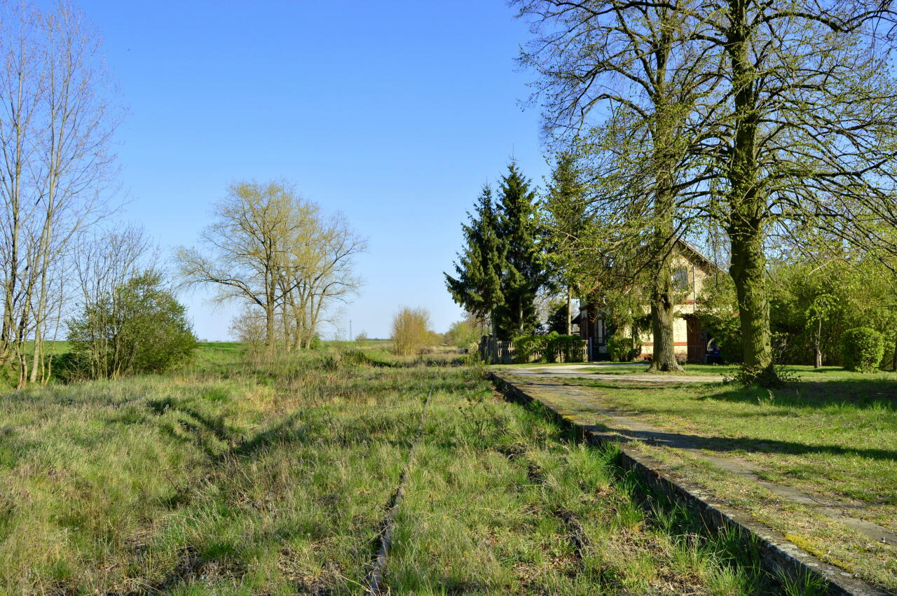 fot. Tomasz 
Racot, widok w kierunku Gostynia. Po prawej peron. Obraz