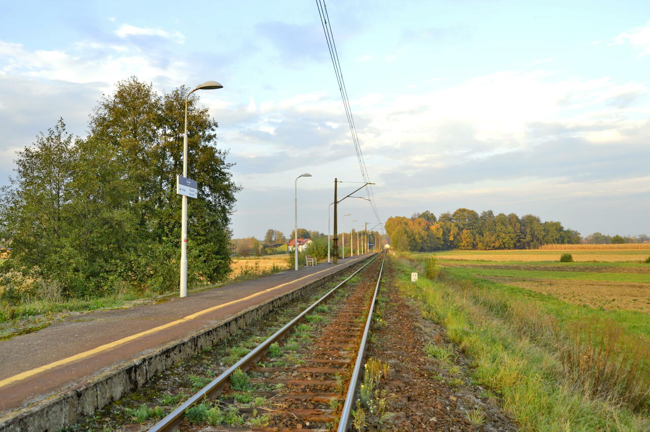 fot. Tomasz 
Skoczów Bładnice, widok w kierunku stacji Skoczów. Obraz