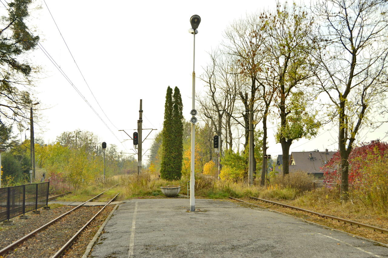 fot. Tomasz 
Jaworze Jasienica, widok w kierunku Skoczowa. Obraz