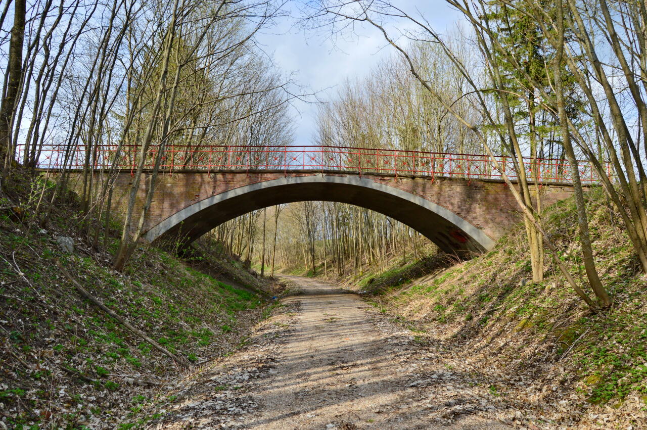 fot. Tomasz 
Grabowo - Jabłońskie. Wiaduktu drogowy nad dawną linią kolejową w okolicy Grabowa. Widok w kierunku Gołdapi. Obraz