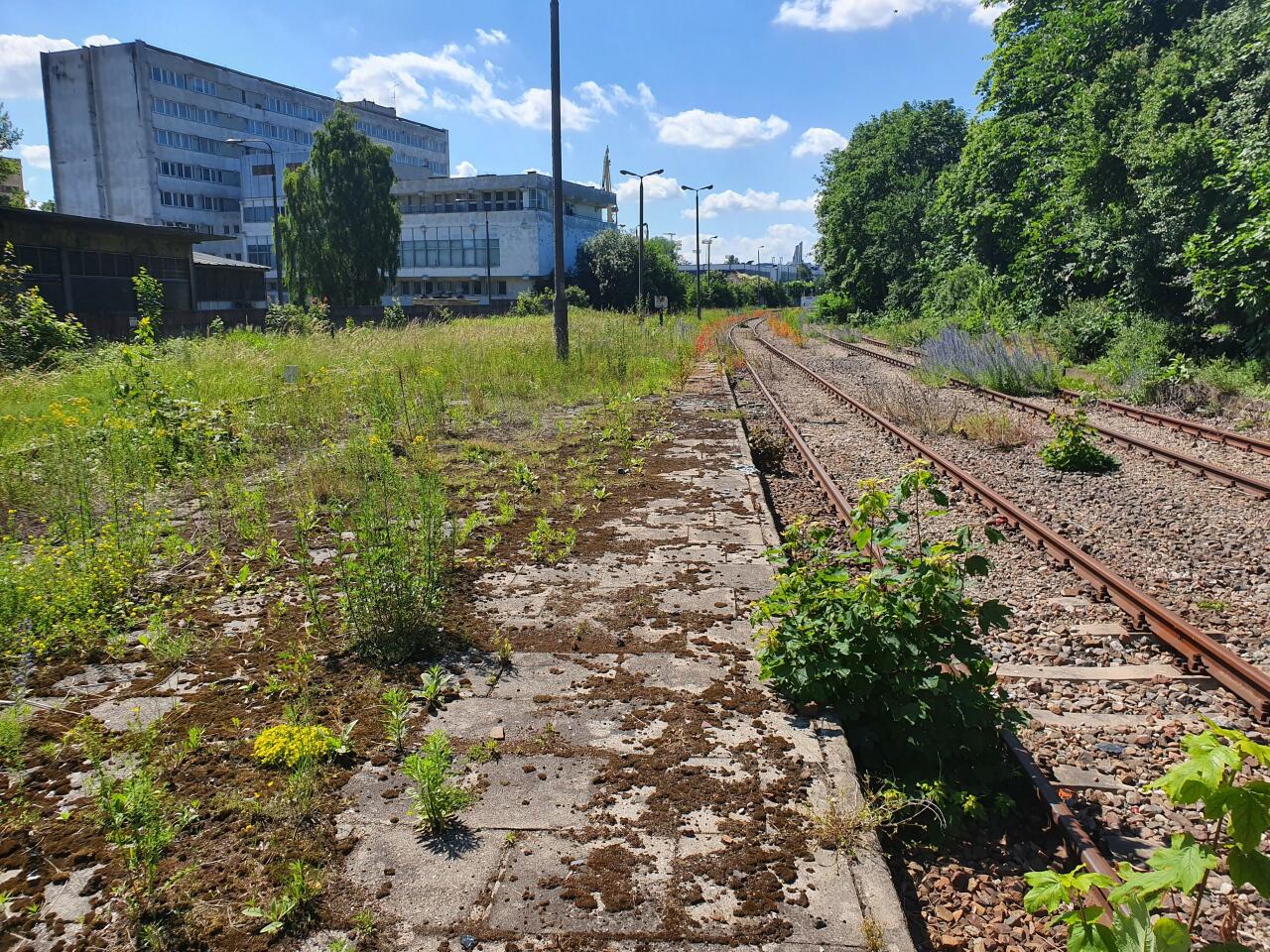 fot. Michał Braszak 
Peron na stacji "Gdynia Port Oksywie" w 2019 roku. Obraz