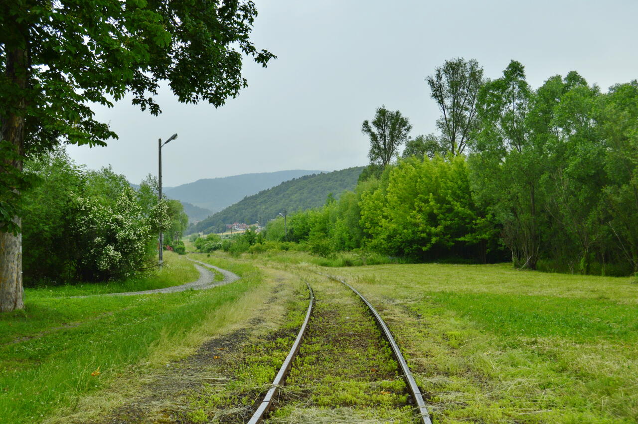 fot. Tomasz 
Męcina, widok w kierunku Chabówki. Obraz