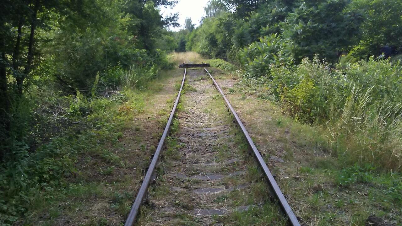 fot. Suchy 
Kozioł oporowy w okolicach pierwszego kilometra. Obraz