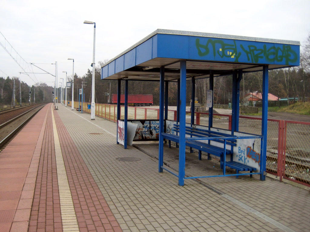 fot. Paweł Ukole 
Przystanek PKP Torzym. Peron 2. Widok w stronę Toporowa/Świebodzina. Obraz