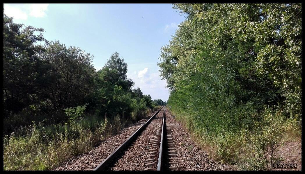 fot. Damian Stupień 
Widok na szlak w 14km w kierunku Radzionkowa. Po lewej biegł drugi tor. Obraz