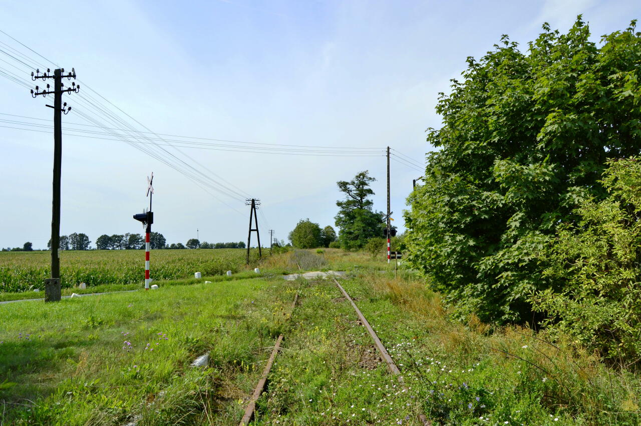 fot. Tomasz 
Godurowo. Widok w kierunku Gostynia. Obraz