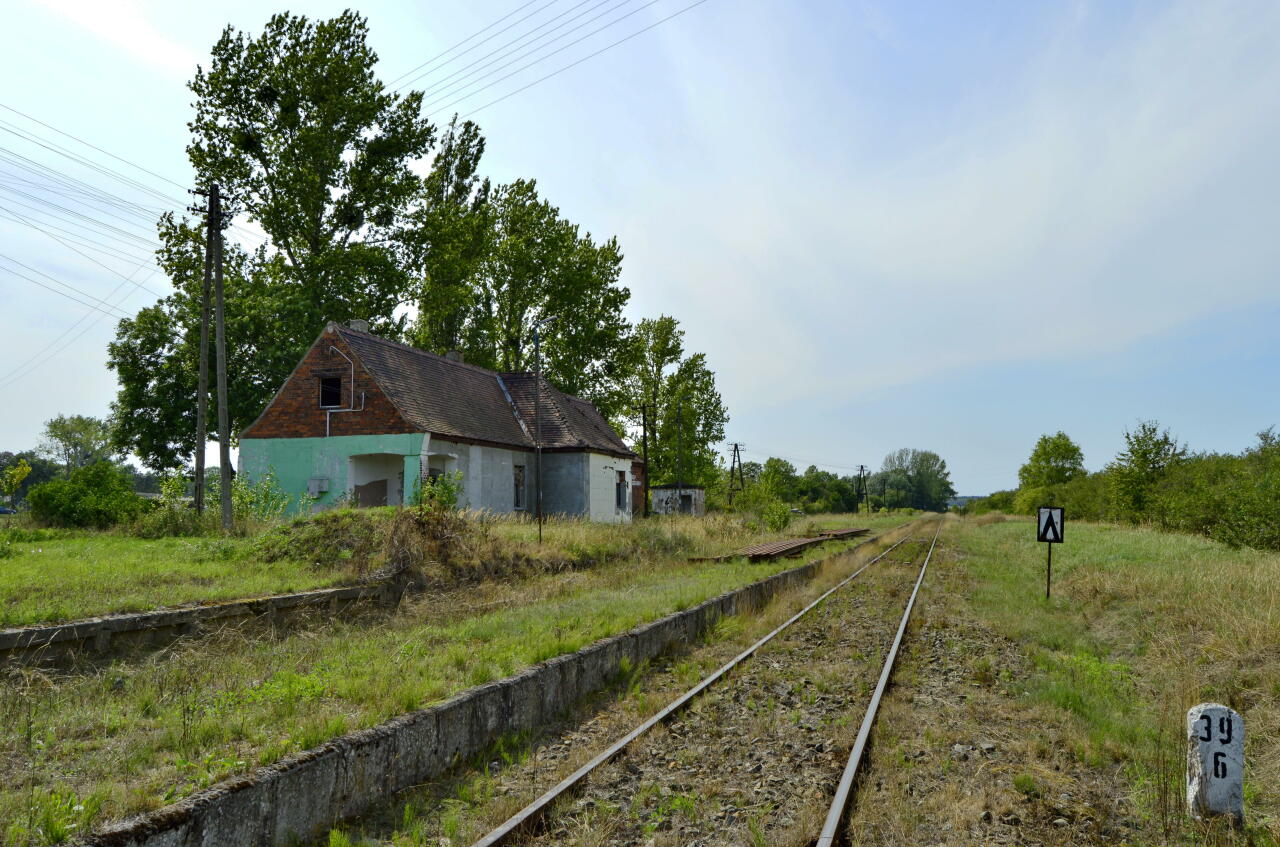 fot. Tomasz 
Gola. Widok w kierunku Kąkolewa/Leszna. Po obu stronach czynnego toru głównego, zasadniczego znajdują się puste miejsca po rozebranych torach dodatkowych. W tle budynek dworca z przybudówką, w której mieściła się nastawnia dysponująca. Obraz