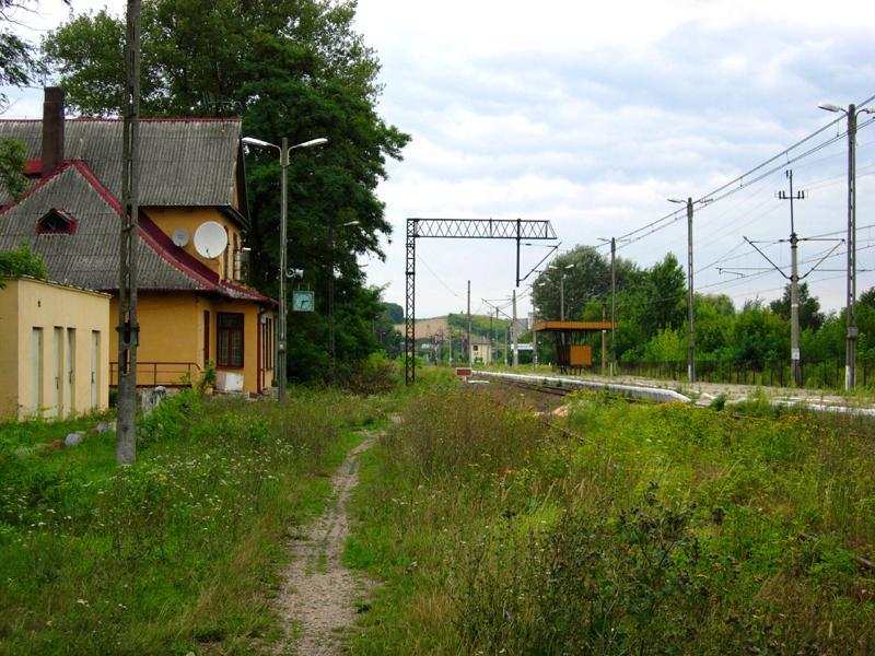 fot. Bartek Jaszczur 
Tak wygląda dziś (niestety) stacja w Dwikozach. Z lewej budynek dworca. Tor przy nim, jak widać jest nieprzejezdny ;( Widok w kierunku Ostrowca Świętokrzyskiego. Obraz