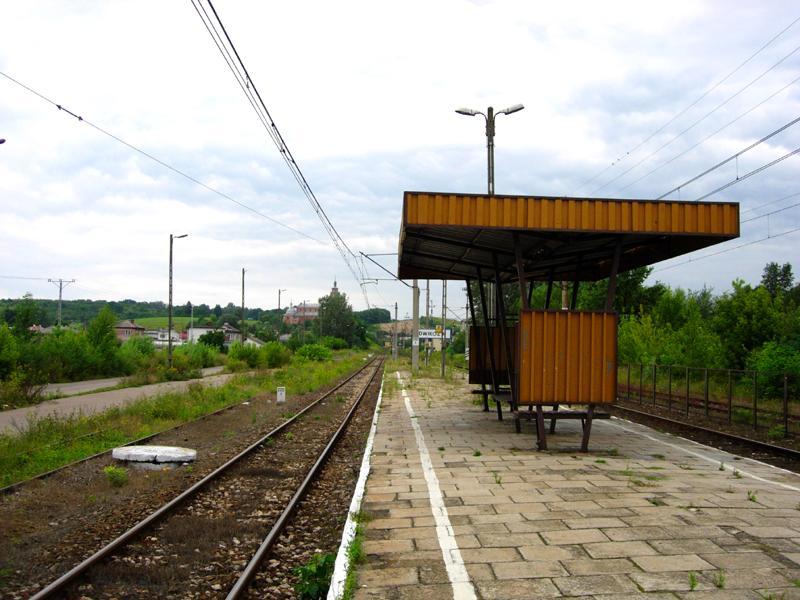 fot. Bartek Jaszczur 
Peron z wiatą przystankową. Widać centralną część wsi. W oddali semafory kształtowe. W krzakach rampa przeładunkowa (nieco zarośnięta). Torami przy peronie przejeżdżają pociągi. Widok w kierunku Ostrowca Świętokrzyskiego. Obraz