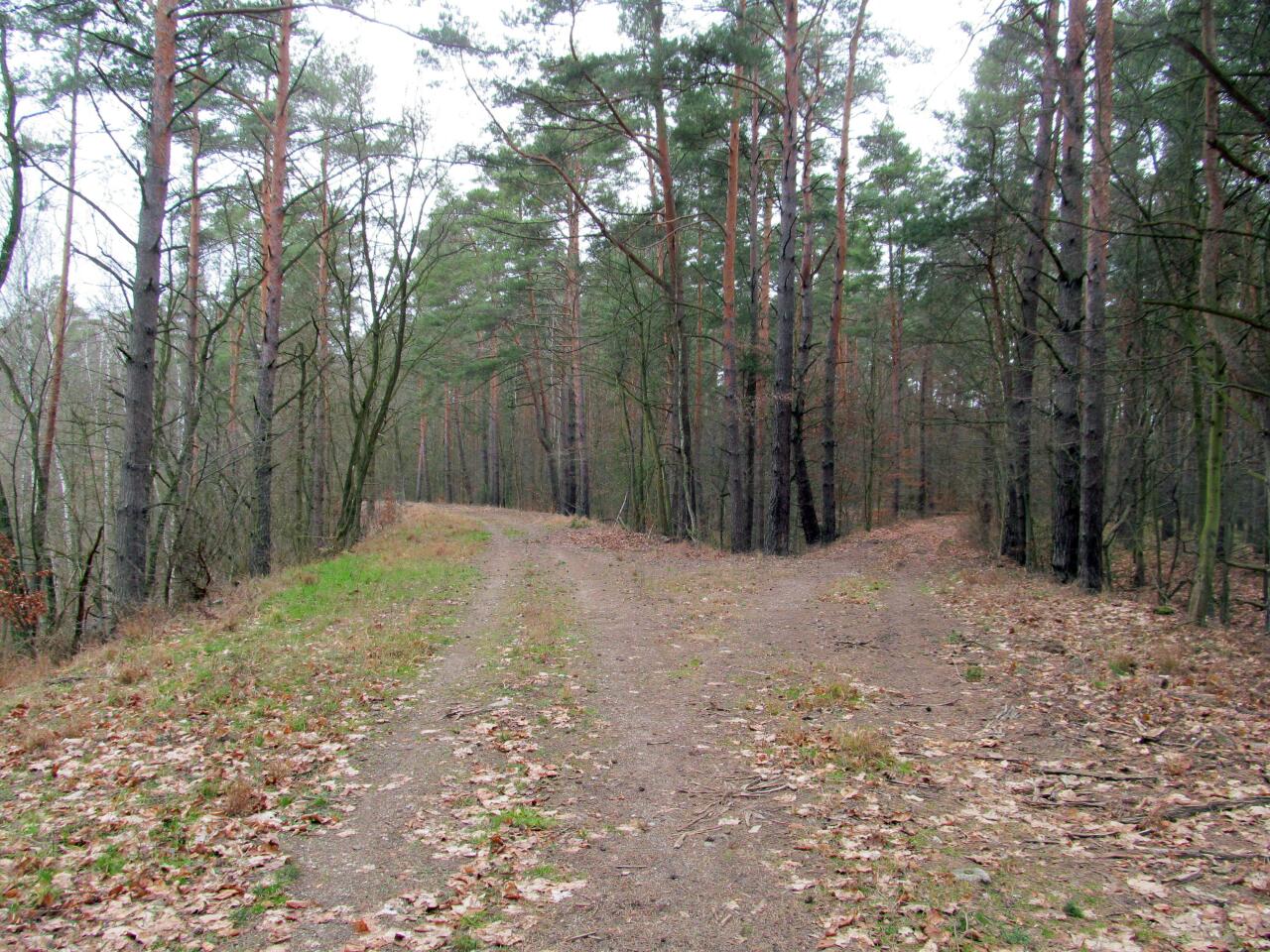 fot. warzywoświniak 
W lewo Kursko, w prawo bocznica do Panzerwerków 748 i 750 należących do Grupy Warownej Nethelbeck. Obraz