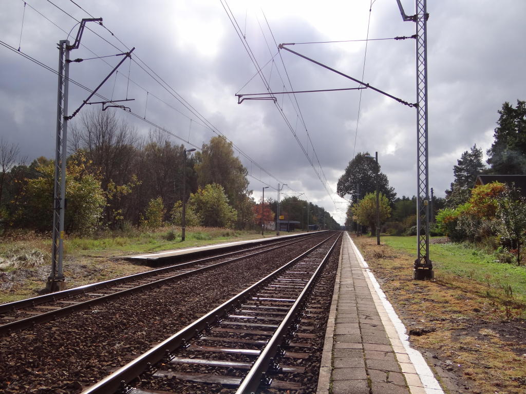 fot. Przemysław Więcek 
Perony. Widok w kierunku Radomska. 183,2 km. Obraz