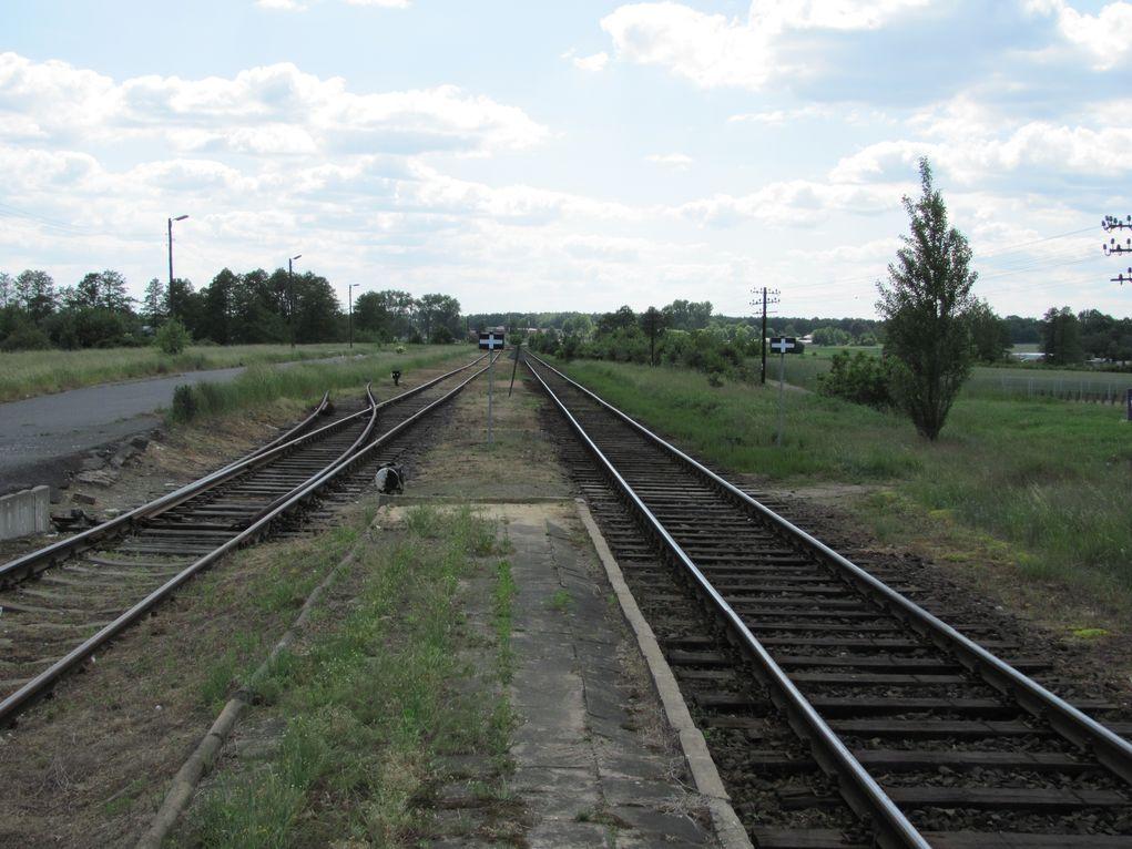fot. Adam Skowroński 
Widok z peronu w kierunku Wolsztyna. Z lewej wjazd na plac przeładunkowy. Obraz