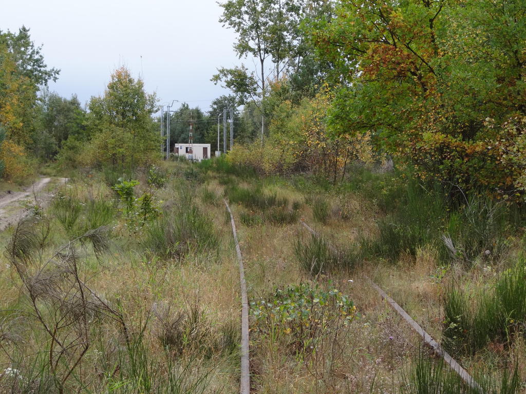 fot. Przemysław Więcek 
Bocznica do bazy paliw. W oddali przejazd drogowy w Bloku Dobryszycach (południowy). Widok w kierunku stacji Radomsko. 2,2 km. Obraz