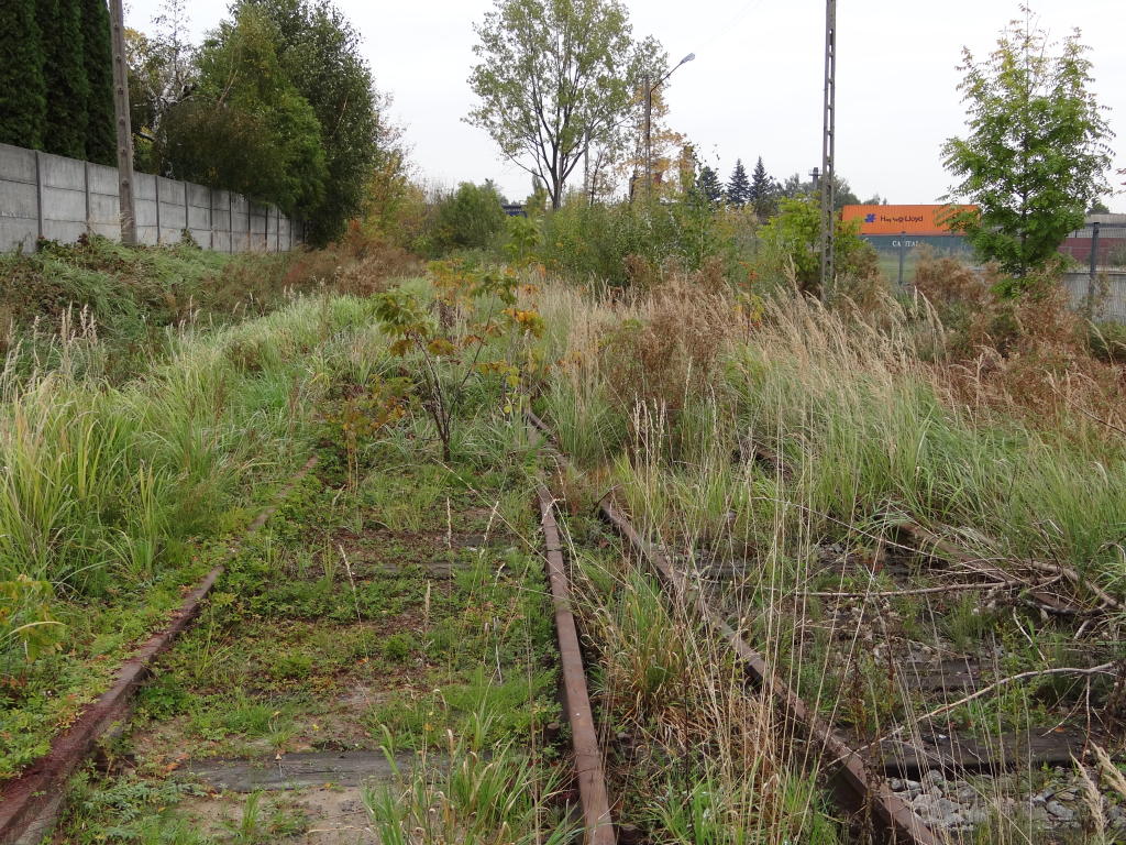 fot. Przemysław Więcek 
Bocznica do zakładów meblarskich. Pierwszy rozjazd na punkcie zdawczo-odbiorczym. Widok w kierunku stacji Radomsko. 0,2 km. Obraz