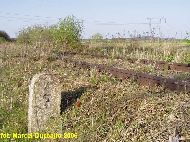 fot. Marcel Durbajło 
Słupek hektometryczny. Widok w kierunku Grodzca. Obraz