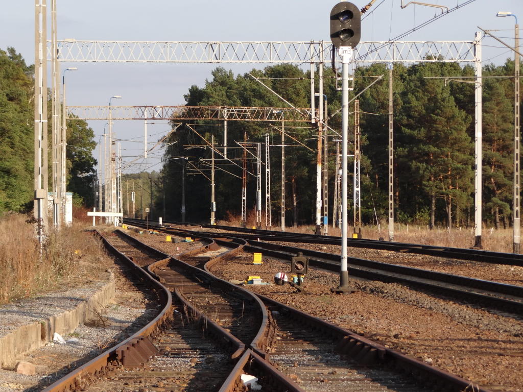 fot. Przemysław Więcek 
Głowica wschodnia. Wschodnia głowica rozjazdowa; wyjazd na Zbąszynek. Widok w kierunku Zbąszynka. 395,9 km. Obraz