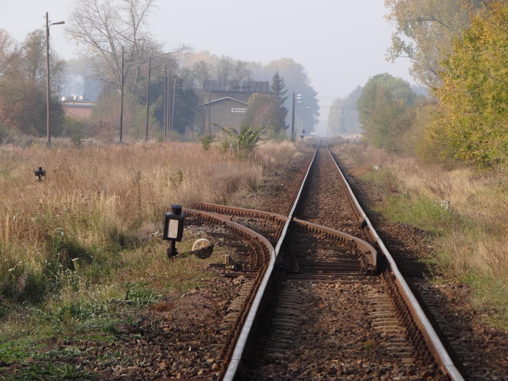 fot. Przemysław Więcek 
Bocznica. W oddali budynek dworcowy. Widok w kierunku Zbąszynia. 57,9 km. Obraz