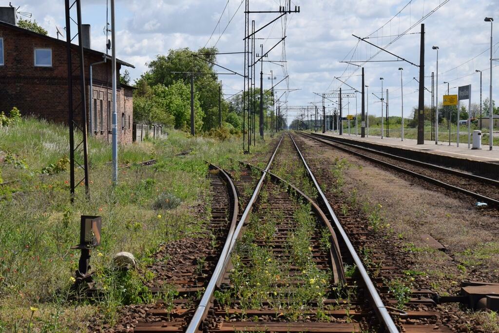 fot. Sebastian Lorek 
Widok na tor główny nr 1 w kierunku wschodnim (Nakło nad Notecią/Bydgoszcz)). Od niego w lewo rozjazd, prowadzący na nieużywany obecnie tor boczny nr 3. Na pierwszym planie zwrotnica nr 14. Obraz