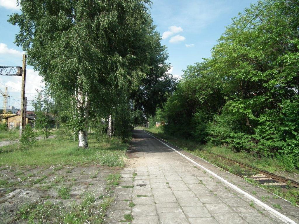 fot. anko 
Peron na którym stał kiedyś dworzec. Widać to na starych pocztówkach. Widok od strony wjazdu z Chorzowa Batorego, w kierunku północno-wschodnim. W tle, po lewej widać magazyn ekspedycji towarowej. Obraz