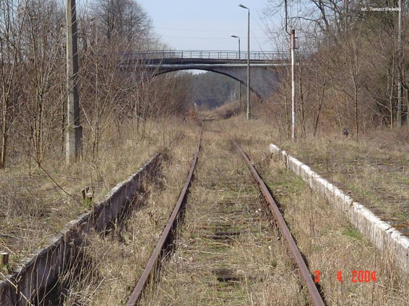 fot. Tomasz Bielecki 
Widok na perony w Dzierzgoniu w kierunku Malborka. W tle wiadukt drogowy w ciągu DW 515. Obraz
