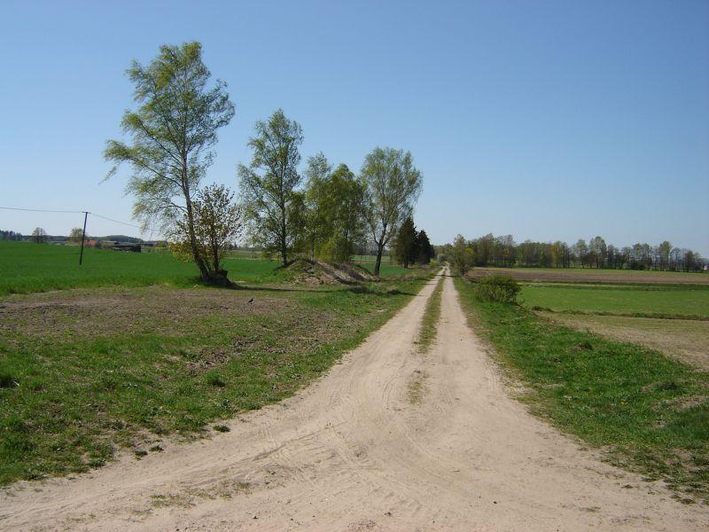 fot. Łukasz Gryc 
Widok na trsę kolei na wys. wsi Popioły (widok w kier. Węgorzewa). Obraz