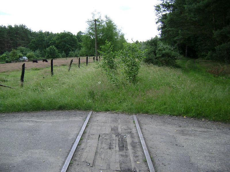 fot. Zbyszek Szczepaniak 
Rosnowo. Widok na torowisko w kierunku Kurozwęcz. Obraz