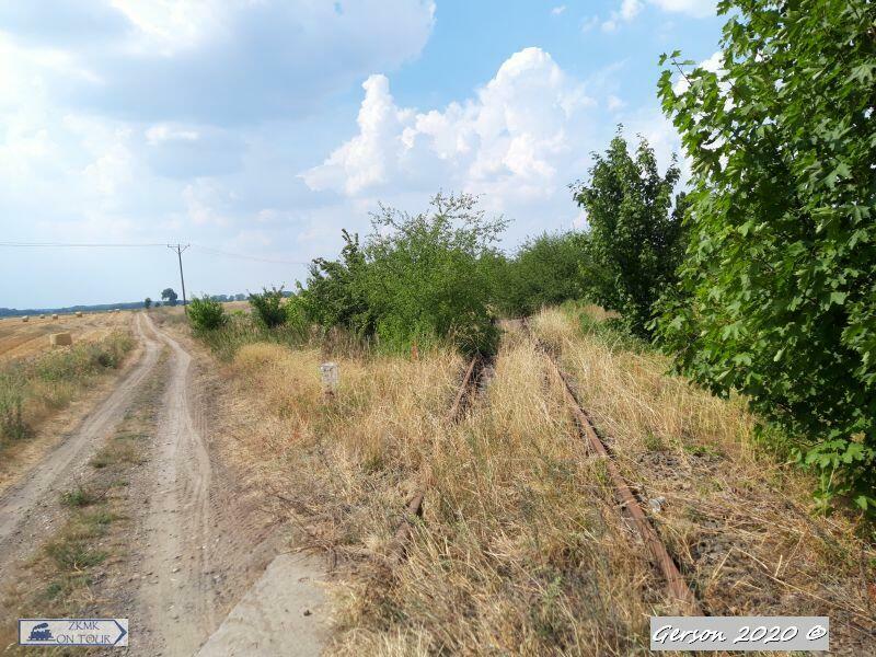 fot. Gerson 
Widok w kierunku Mielęcina Myśliborskiego. Obraz