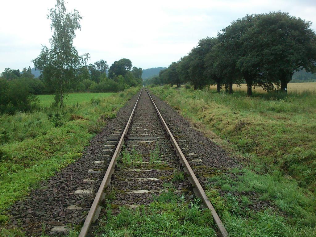 fot. Dąbek 
Szlak pomiędzy Lubawką a Granicą Państwa, widok w kierunku Lubawki. Mimo sezonu pociągi na tym odcinku nie kursują z powodu braku pozwoleń wjazdu do Czech polskich szynobusów Obraz