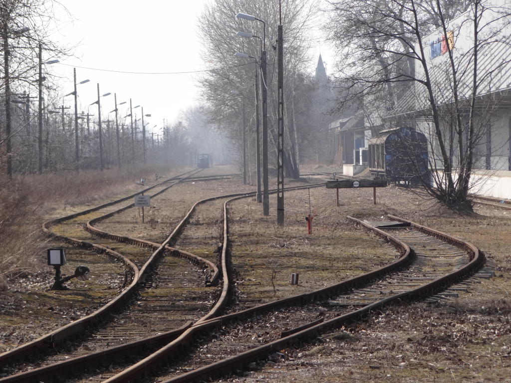 fot. Przemysław Więcek 
Bocznica Centrum Logistycznego. Po prawej magazyn o powierzchni zabudowy ok. 18.000 mkw. z rampą kolejową o długości ok. 140 m. Widok w kierunku Grodziska Mazowieckiego. 14,0 km. Obraz