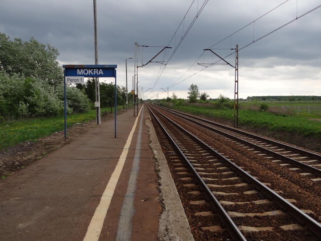 fot. Przemysław Więcek 
Peron dla pociągów w kierunku Łowicza. Widok w kierunku Skierniewic. 4,1 km. Obraz