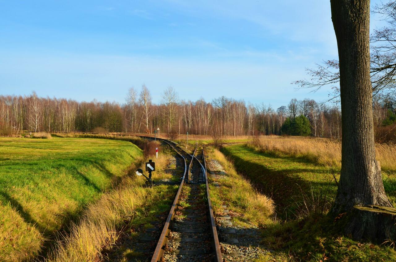 fot. Damian Grzywna 
Rozjazd z odcinka środkowego w kierunku, na prawo przystanku Park, na lewo przystanku Natura. Obraz