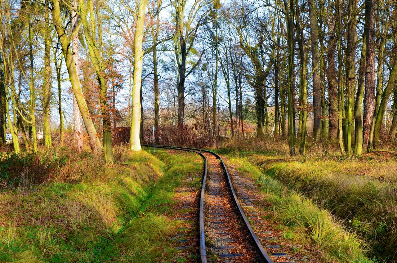 fot. Damian Grzywna 
Odcinek Pałac Krośnice - Park.
Widok w kierunku Przystanku Park. Obraz