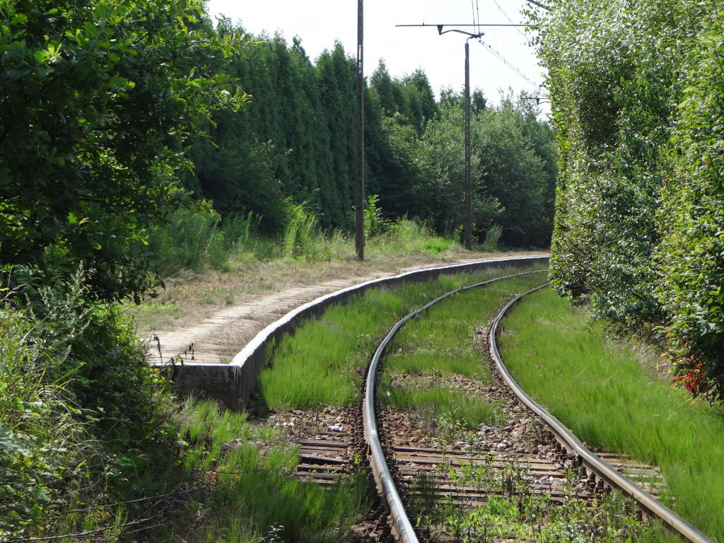 fot. Przemysław Więcek 
Peron. Widok w kierunku Cieszyna. 16,0 km. Obraz