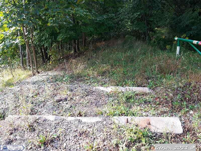 fot. Gerson 
Starotorze z pozostawionymi podkładami betonowymi. Zdjęcie wykonane w pobliżu DW137. Widok w kierunku przystanku Kursko. Obraz