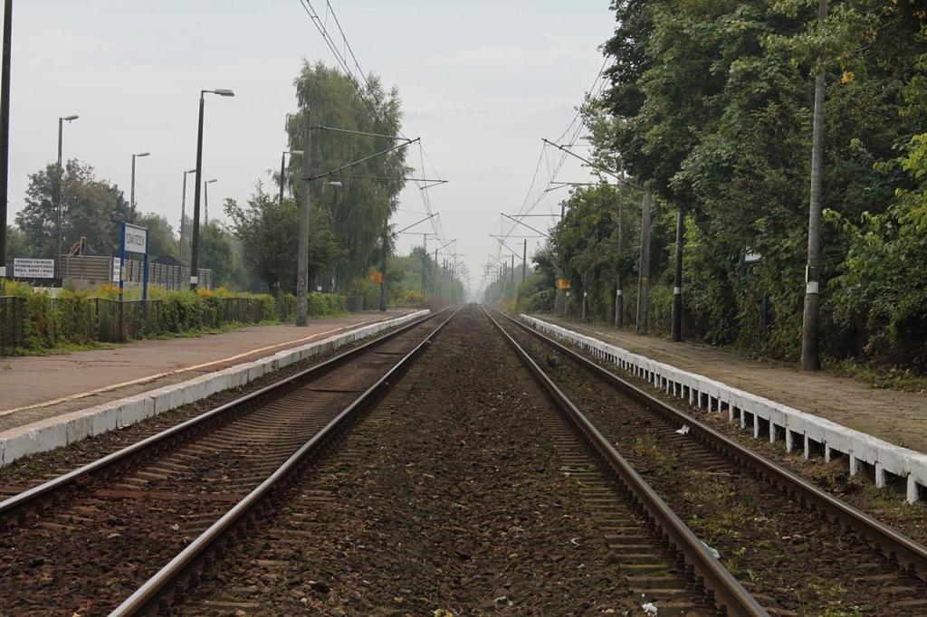 fot. irek 
Poznań Strzeszyn - kierunek Poznań Główny. Obraz