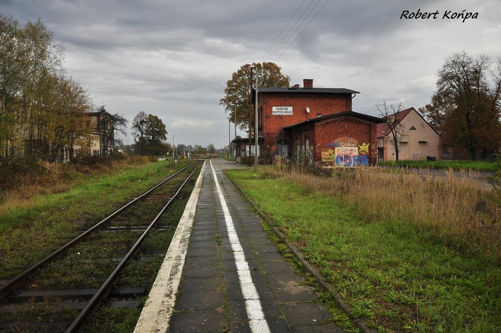 fot. ROBERT KOŃPA 
Widok w kierunku Szydłowa. Obraz