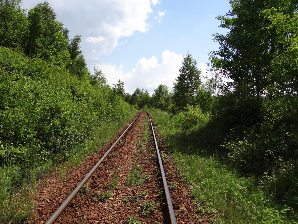 fot. Przemysław Więcek 
Tor wznosi się z poziomu 330 m n.p.m. na stacji Łączna do 370 m n.p.m. w Kamieniołomie Bukowa Góra. Widok w kierunku zakładu produkcji kruszywa. 1,2 km. Obraz