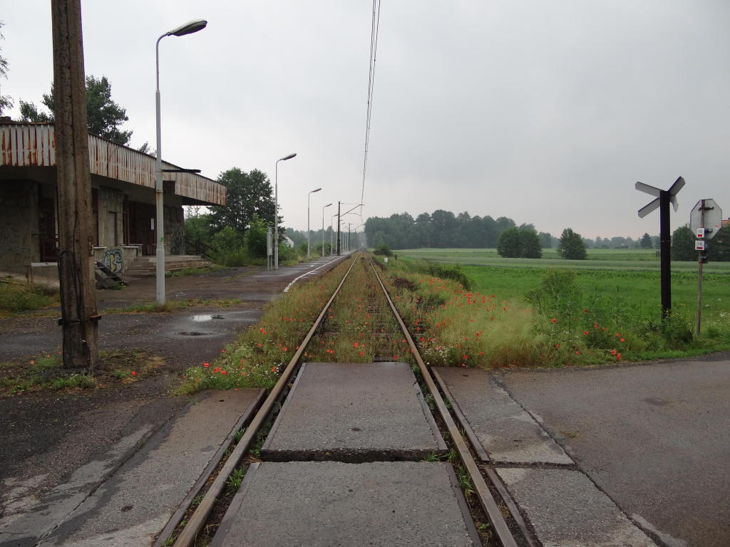 fot. Przemysław Więcek 
Przejazd drogowy w Bładnicach Dolnych. Peron. Po lewej budynek dworcowy od strony peronu. Widok w kierunku Skoczowa. 24,8 km. Obraz
