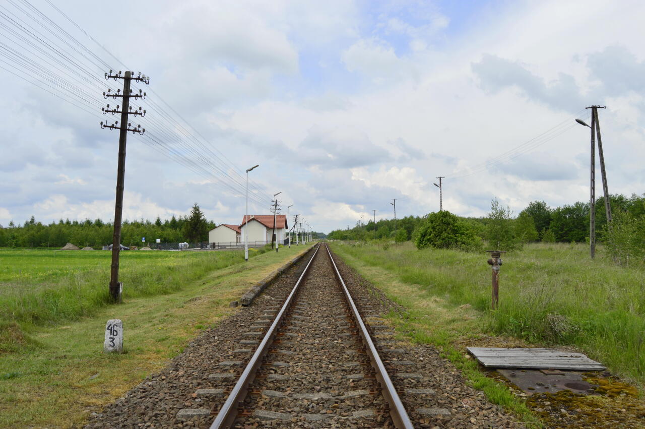 fot. Tomasz 
Widok na dawna stację od strony Horyńca Zdrój. Po lewej stronie peron oraz w oddali budynek dworca, po prawej stronie pozostałość po żurawiu wodnym oraz torach dodatkowych. Obraz