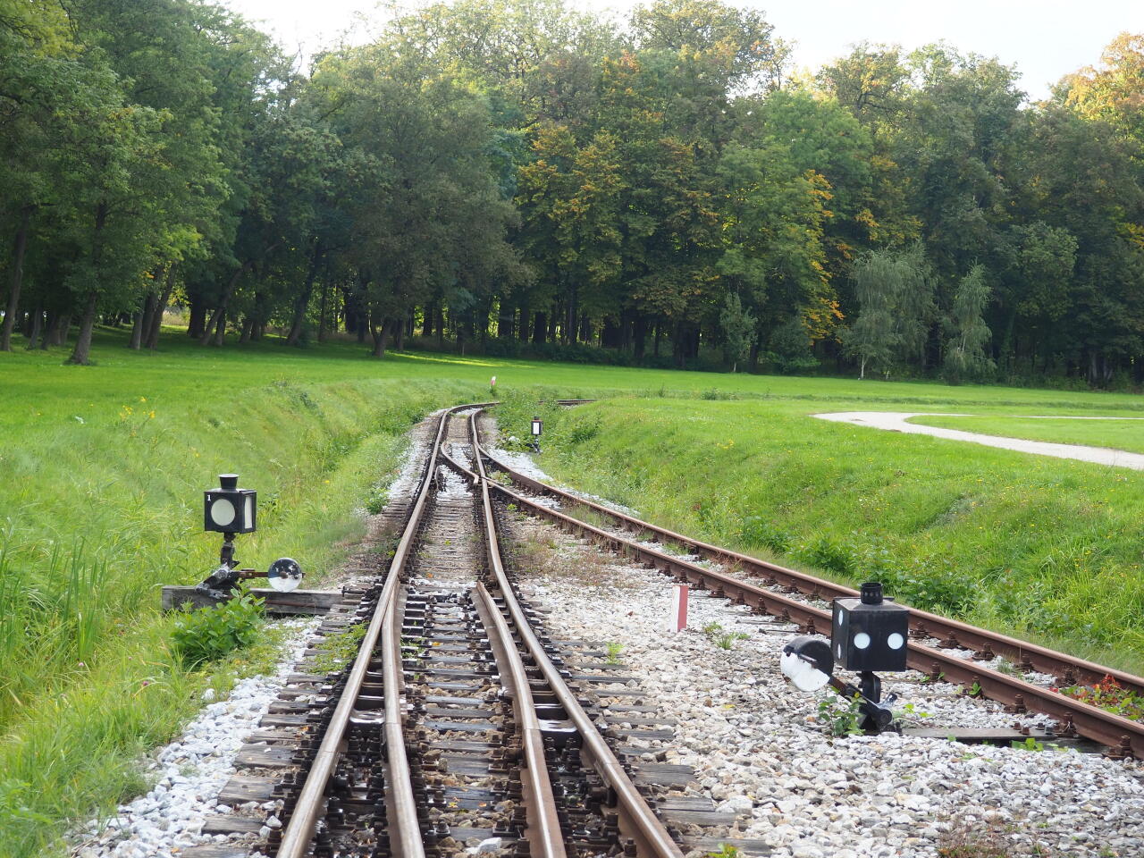 fot. Szymon Szczęśniak 
Wjazd na szlak ze stacji głównej, w kierunku przystanku Pałac Wierzchowice. Obraz