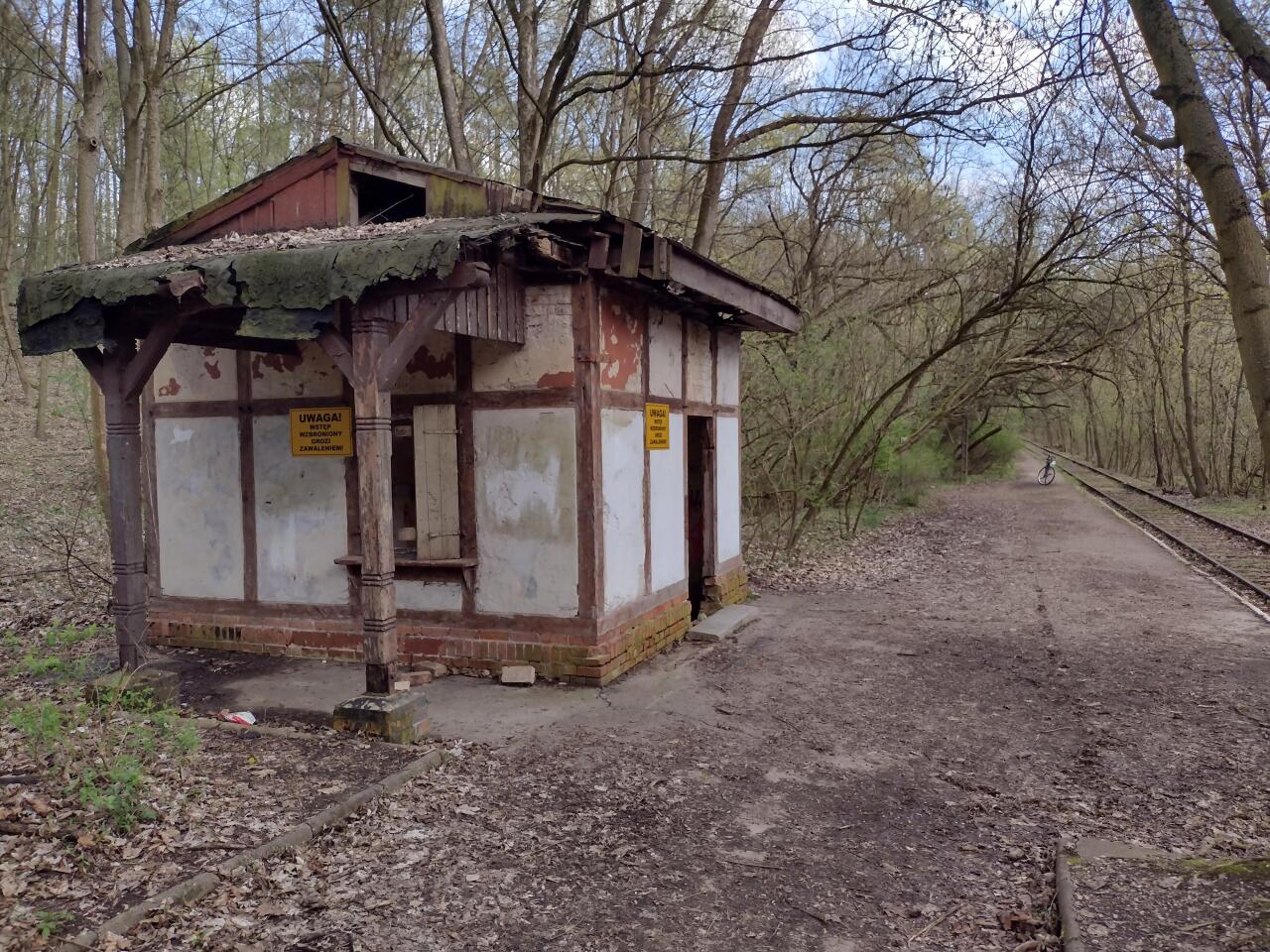 fot. rzeźnicki hak 
Osowa Góra widok w kierunku Mosiny. Obraz